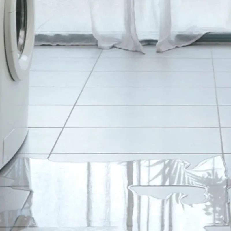 Appliance Leak Cleanup in Fruitville, FL