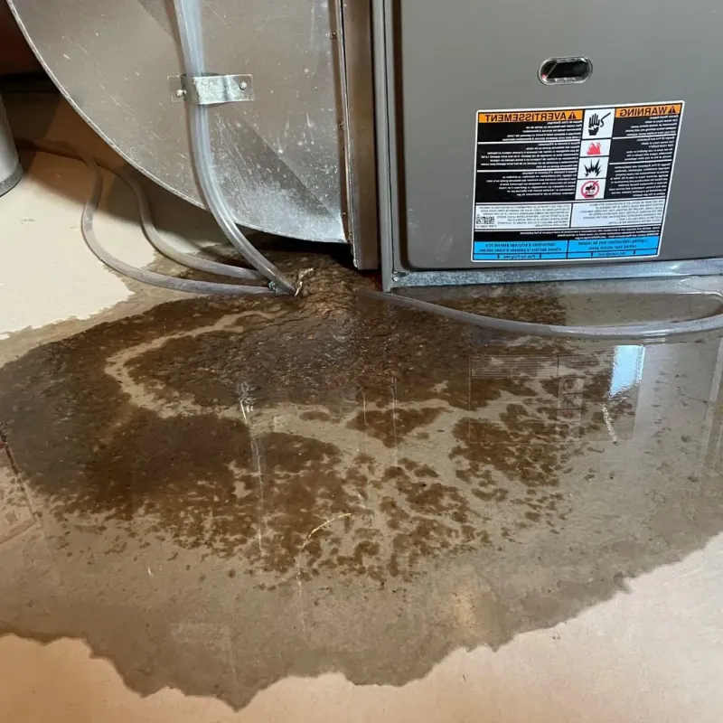 Pipe Burst and Leak Restoration in Fruitville, FL